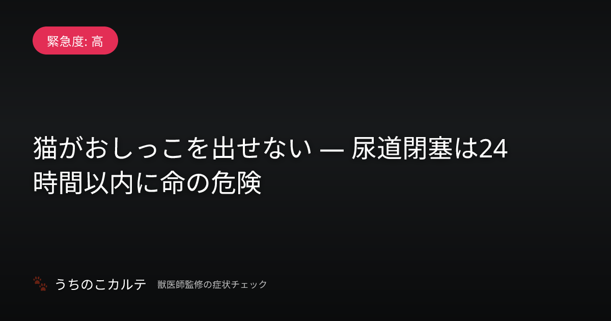 猫がおしっこを出せない — 尿道閉塞は24時間以内に命の危険