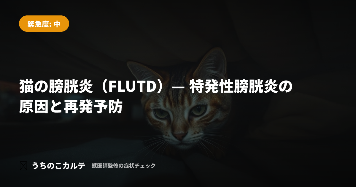 猫の膀胱炎（FLUTD）— 特発性膀胱炎の原因と再発予防