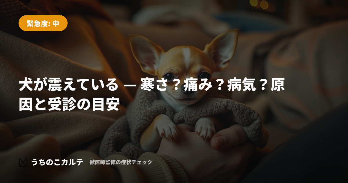 犬が震えている — 寒さ？痛み？病気？原因と受診の目安