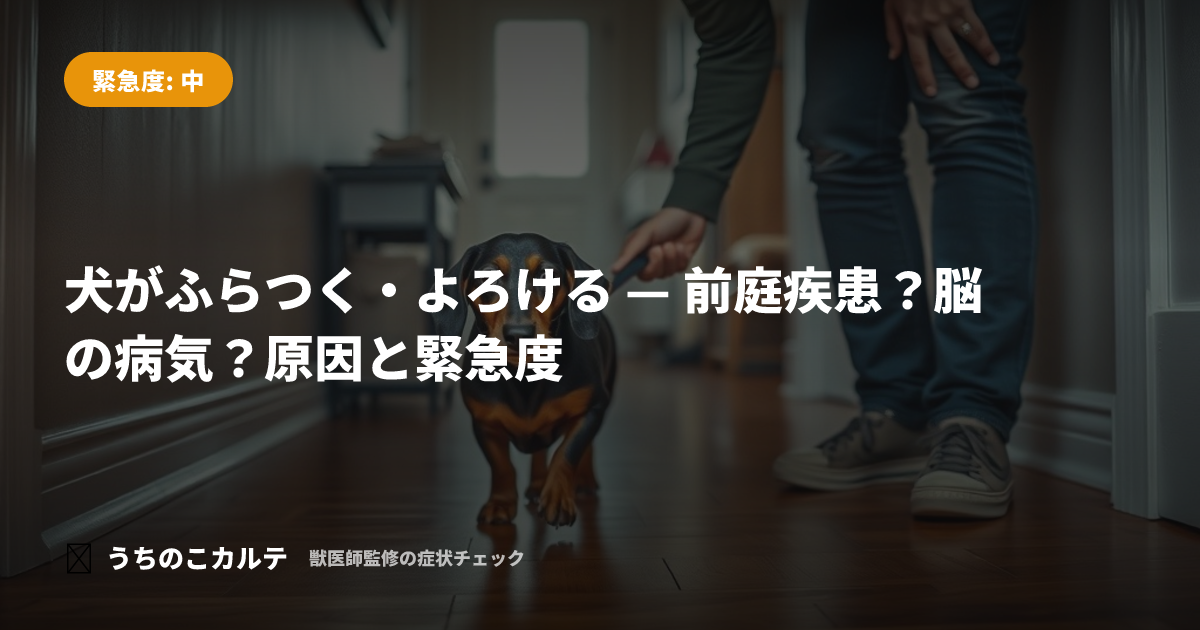 犬がふらつく・よろける — 前庭疾患?脳の病気?原因と緊急度