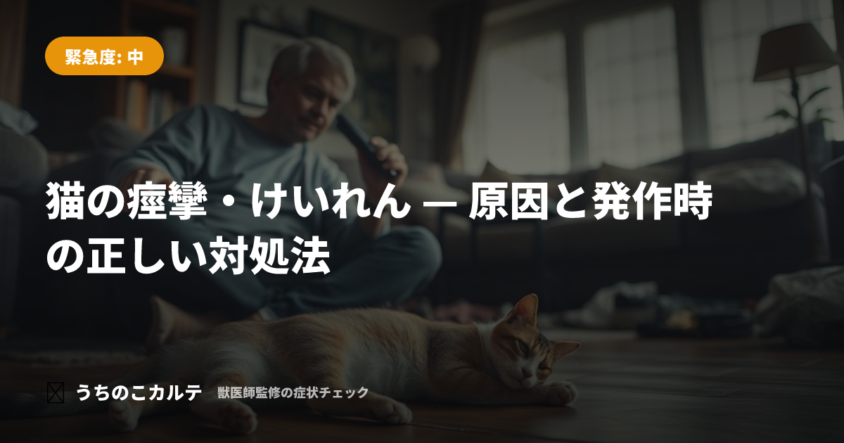 猫の痙攣・けいれん — 原因と発作時の正しい対処法
