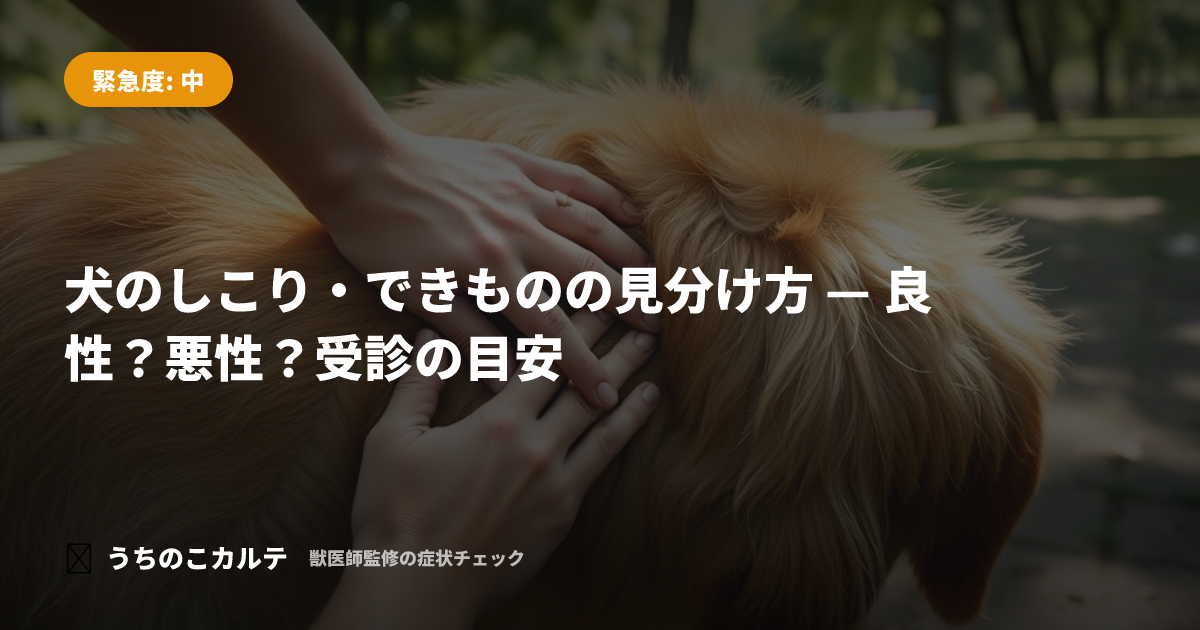 犬のしこり・できものの見分け方 — 良性？悪性？受診の目安