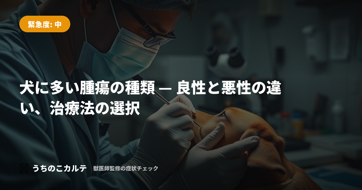 犬に多い腫瘍の種類 — 良性と悪性の違い、治療法の選択