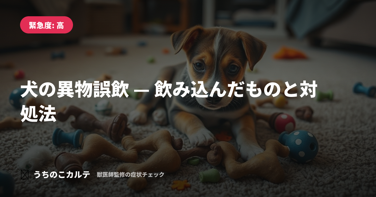 犬の異物誤飲 — 飲み込んだものと対処法