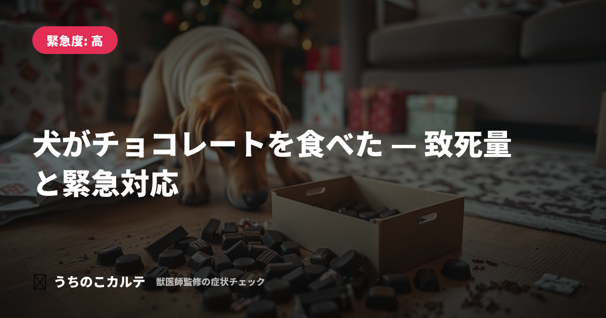 犬がチョコレートを食べた — 致死量と緊急対応