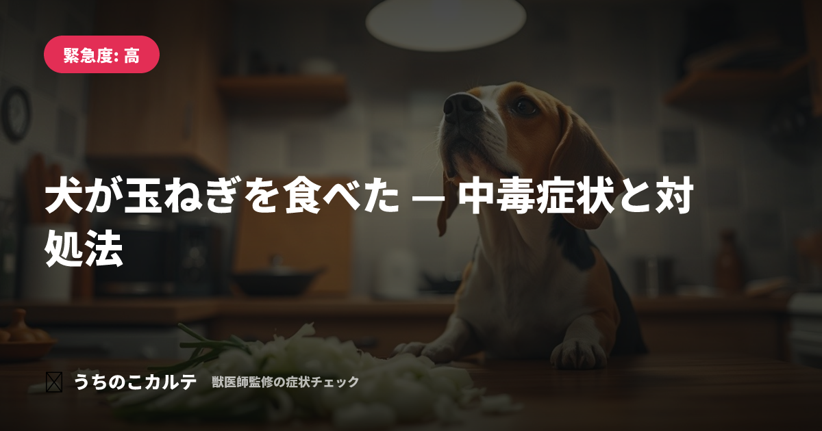 犬が玉ねぎを食べた — 中毒症状と対処法