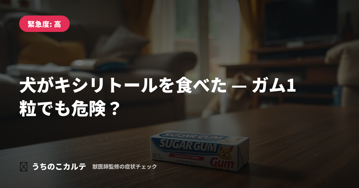 犬がキシリトールを食べた — ガム1粒でも危険？