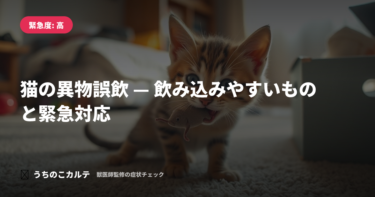 猫の異物誤飲 — 飲み込みやすいものと緊急対応