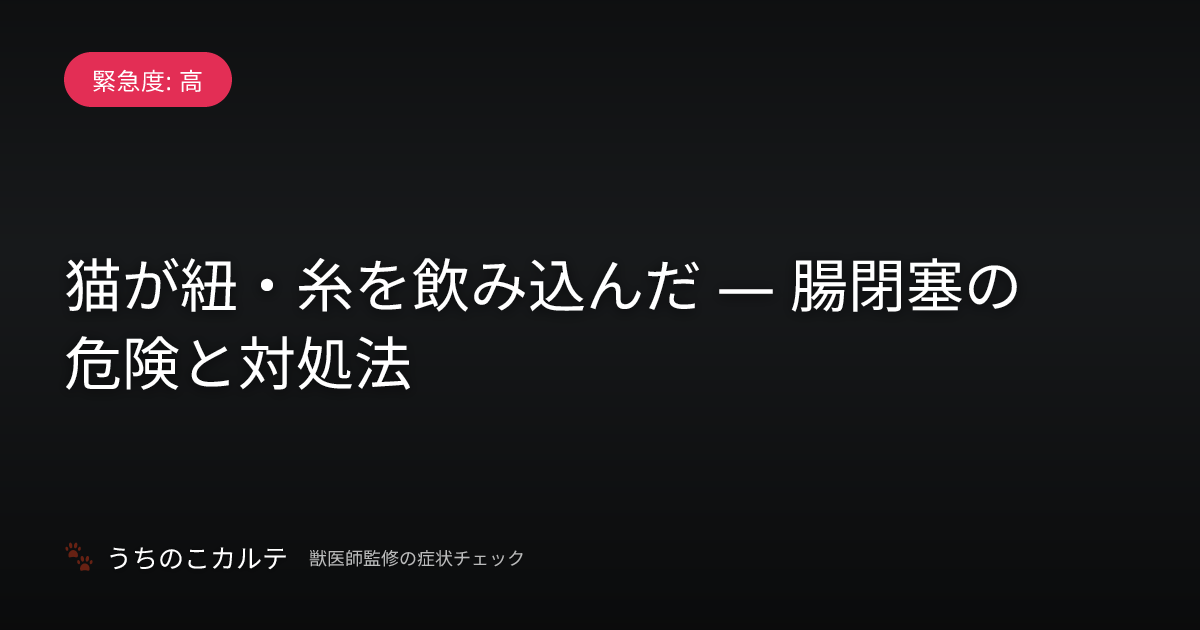 猫が紐・糸を飲み込んだ — 腸閉塞の危険と対処法