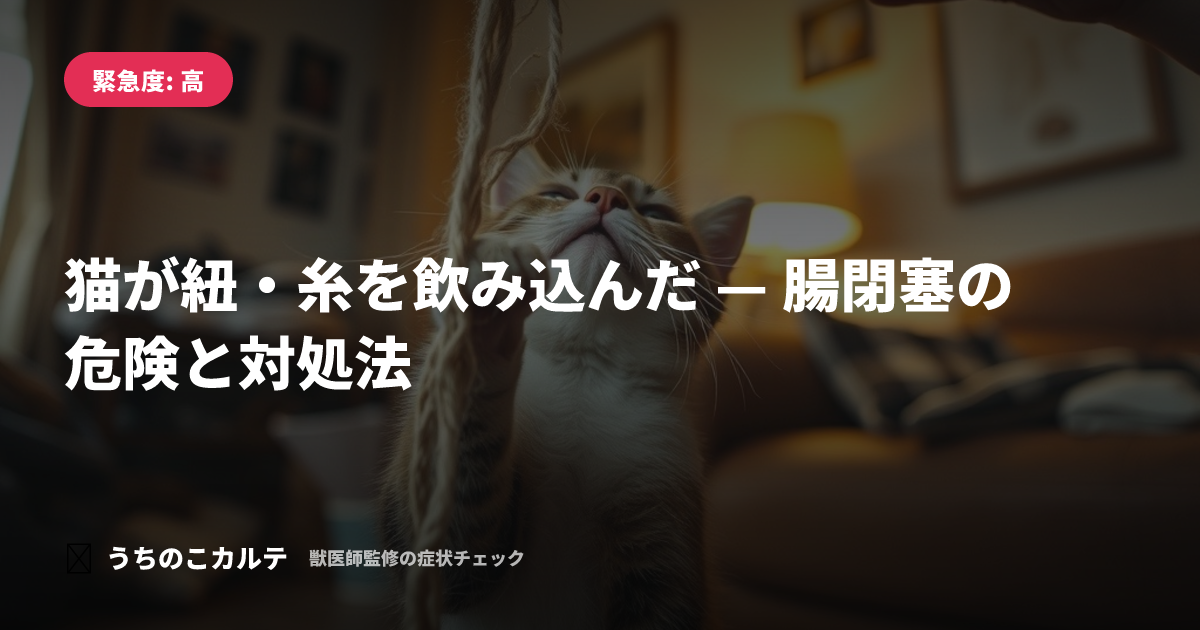 猫が紐・糸を飲み込んだ — 腸閉塞の危険と対処法