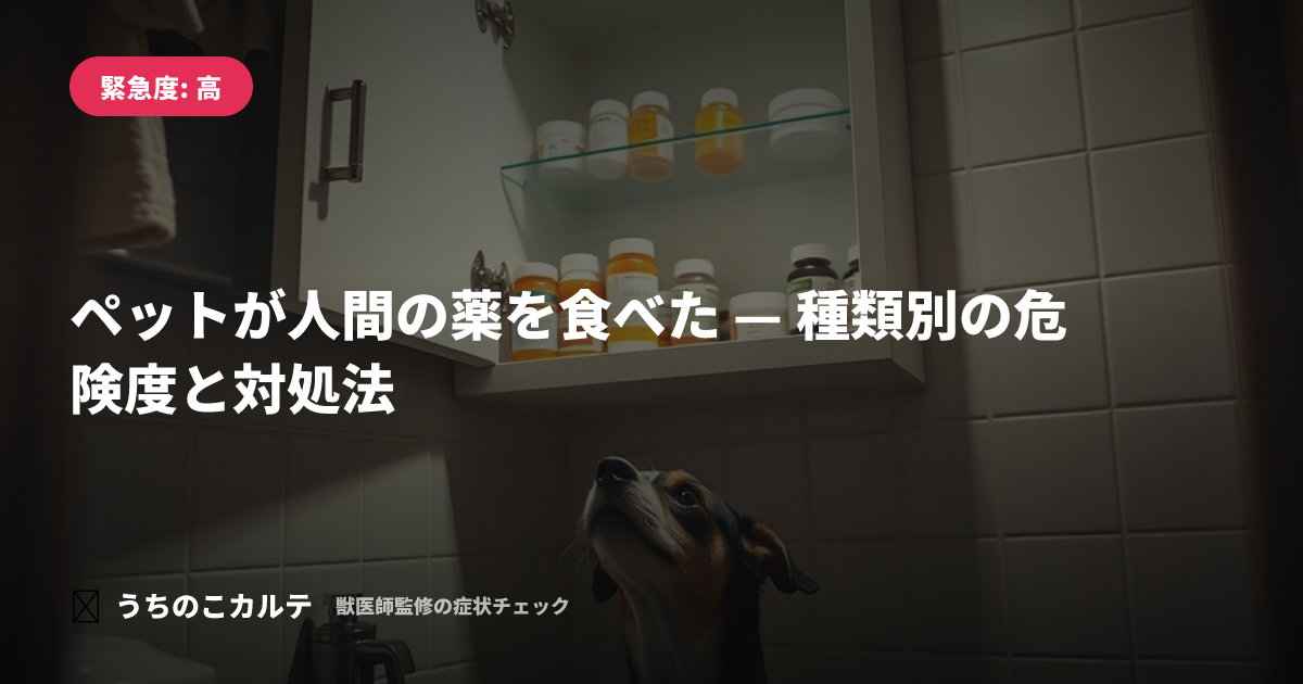 ペットが人間の薬を食べた — 種類別の危険度と対処法