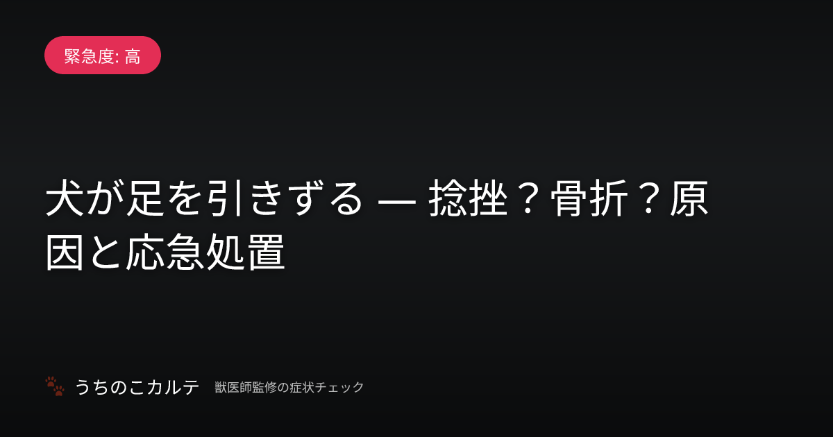 犬が足を引きずる — 捻挫？骨折？原因と応急処置