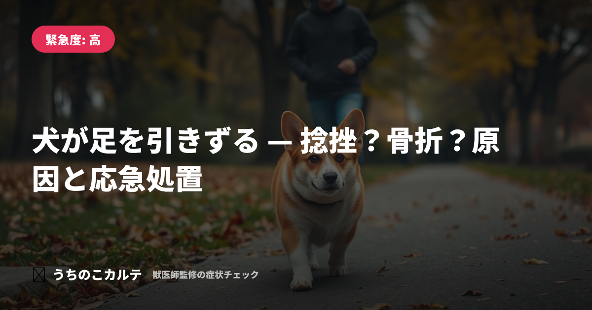 犬が足を引きずる — 捻挫？骨折？原因と応急処置