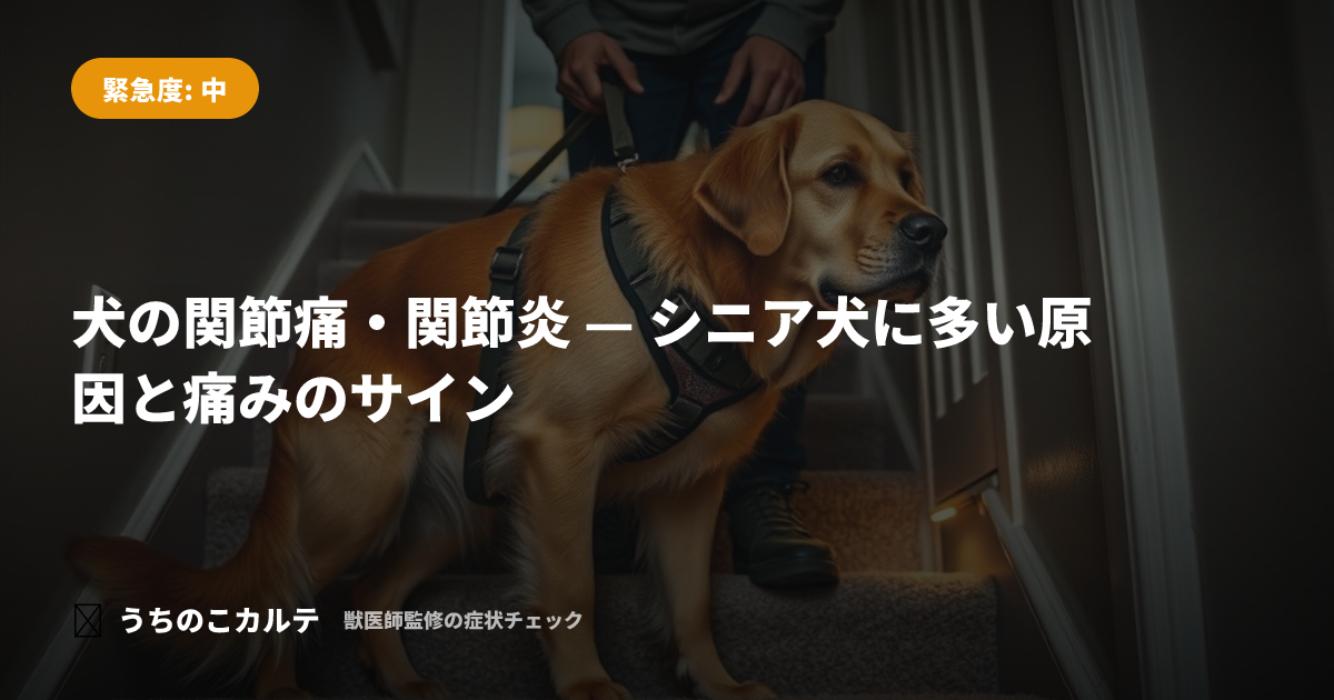 犬の関節痛・関節炎 — シニア犬に多い原因と痛みのサイン
