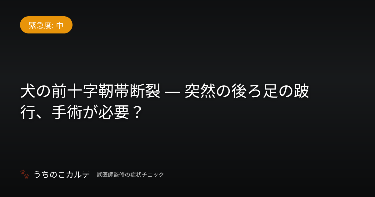犬の前十字靭帯断裂 — 突然の後ろ足の跛行、手術が必要？
