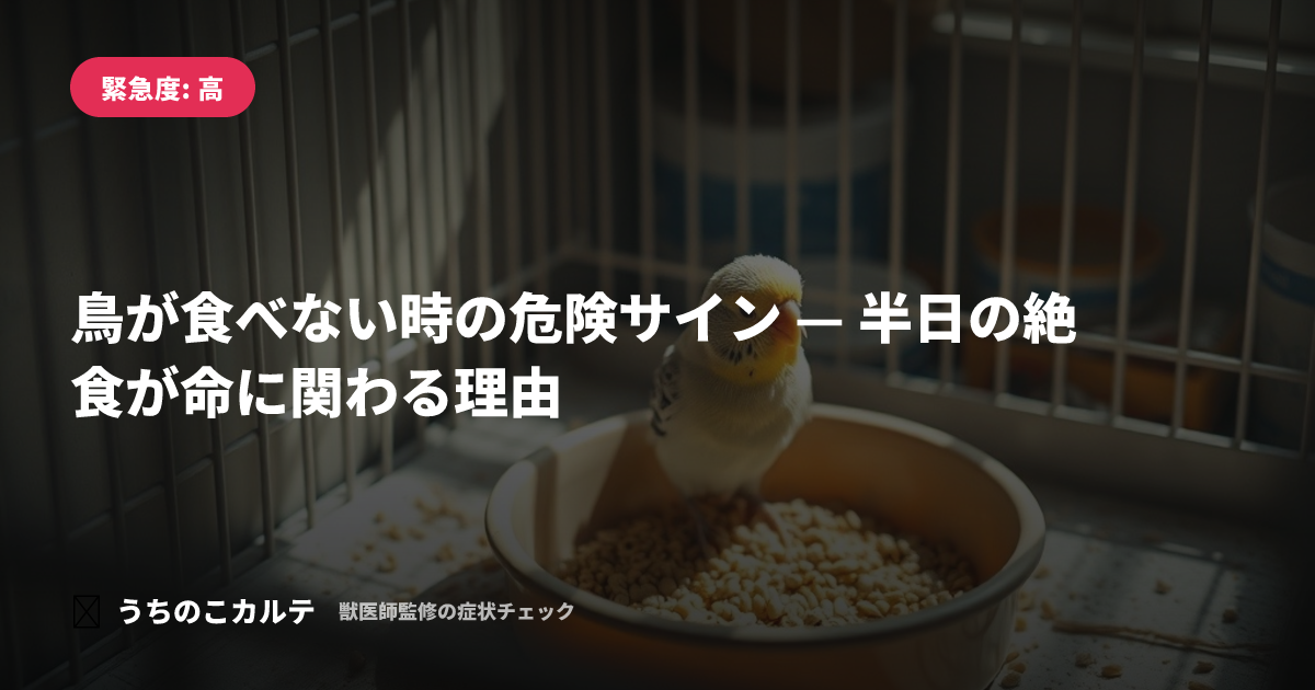 鳥が食べない時の危険サイン — 半日の絶食が命に関わる理由