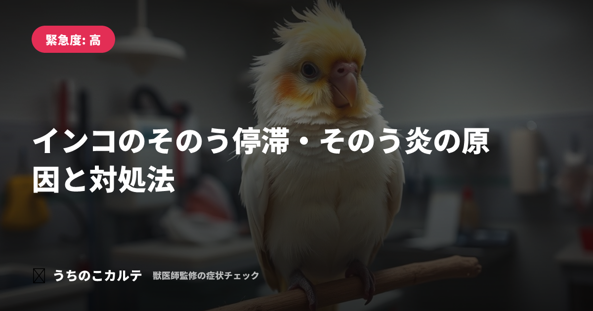 インコのそのう停滞・そのう炎の原因と対処法