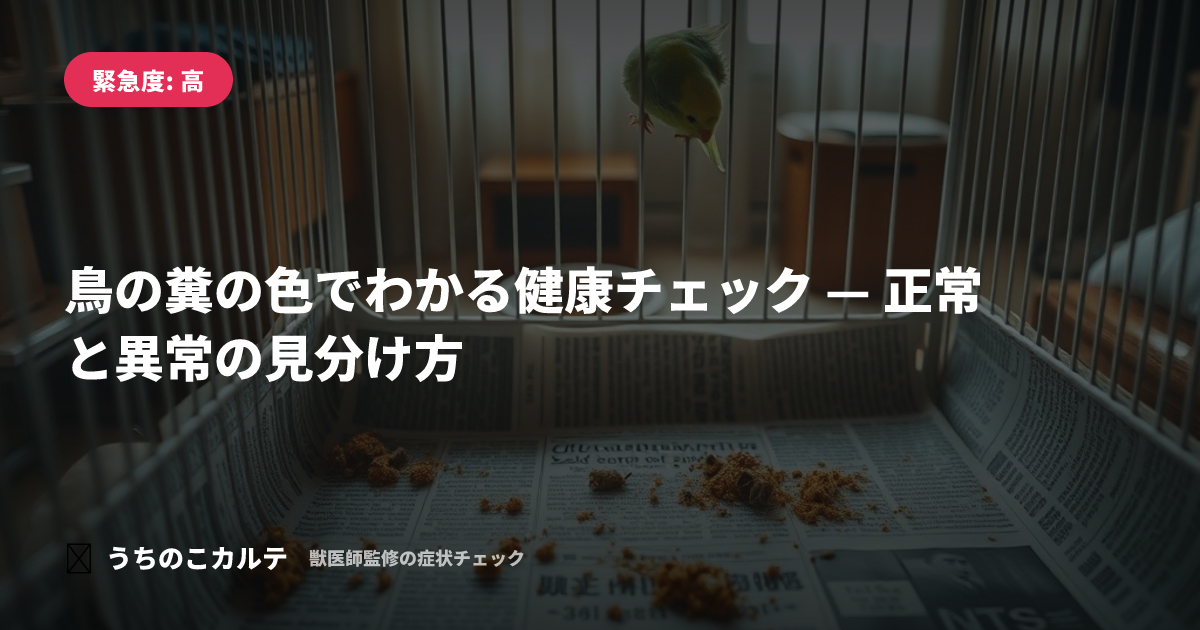 鳥の糞の色でわかる健康チェック — 正常と異常の見分け方