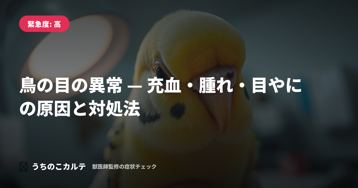 鳥の目の異常 — 充血・腫れ・目やにの原因と対処法