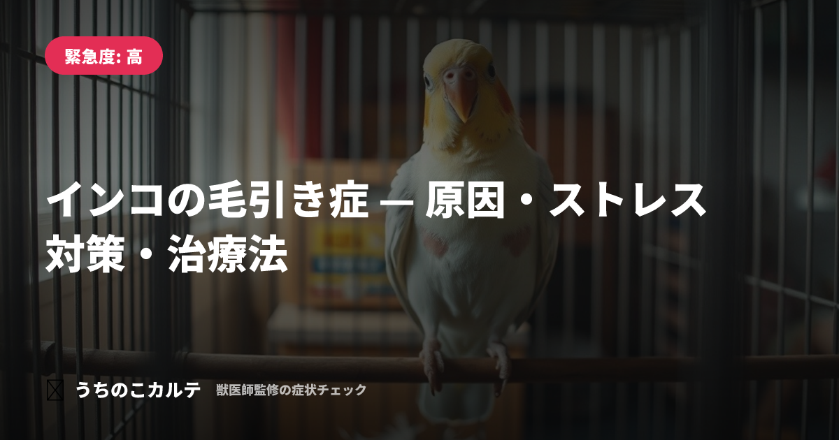 インコの毛引き症 — 原因・ストレス対策・治療法