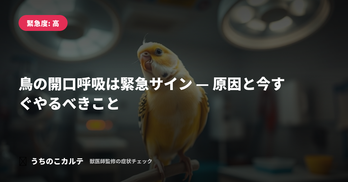 鳥の開口呼吸は緊急サイン — 原因と今すぐやるべきこと