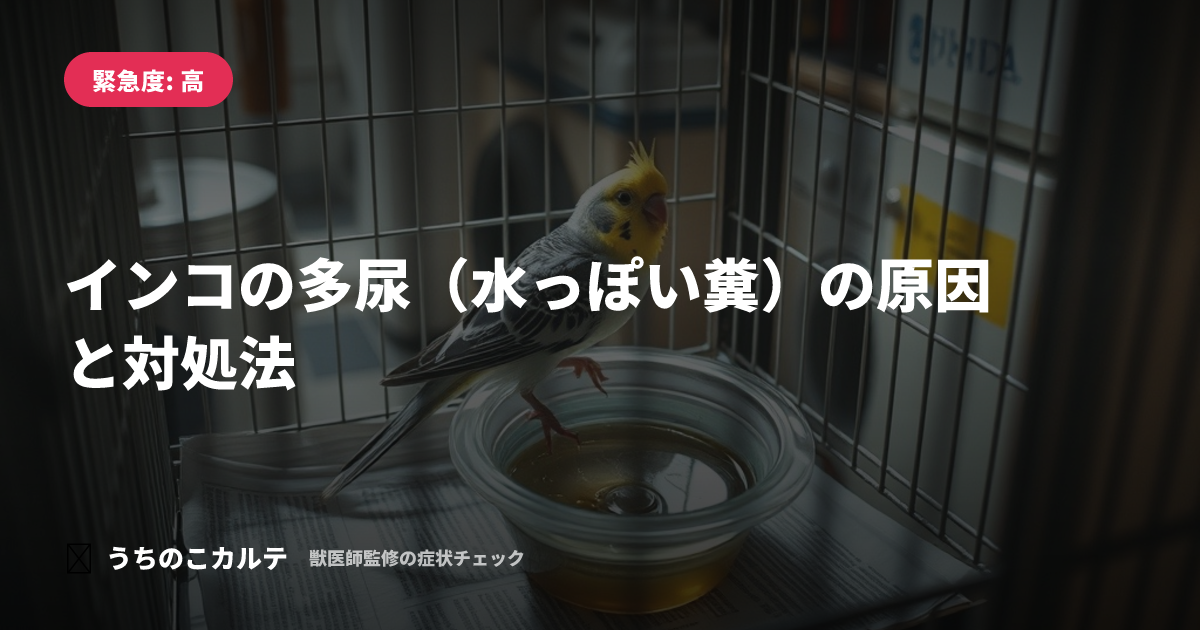 インコの多尿（水っぽい糞）の原因と対処法