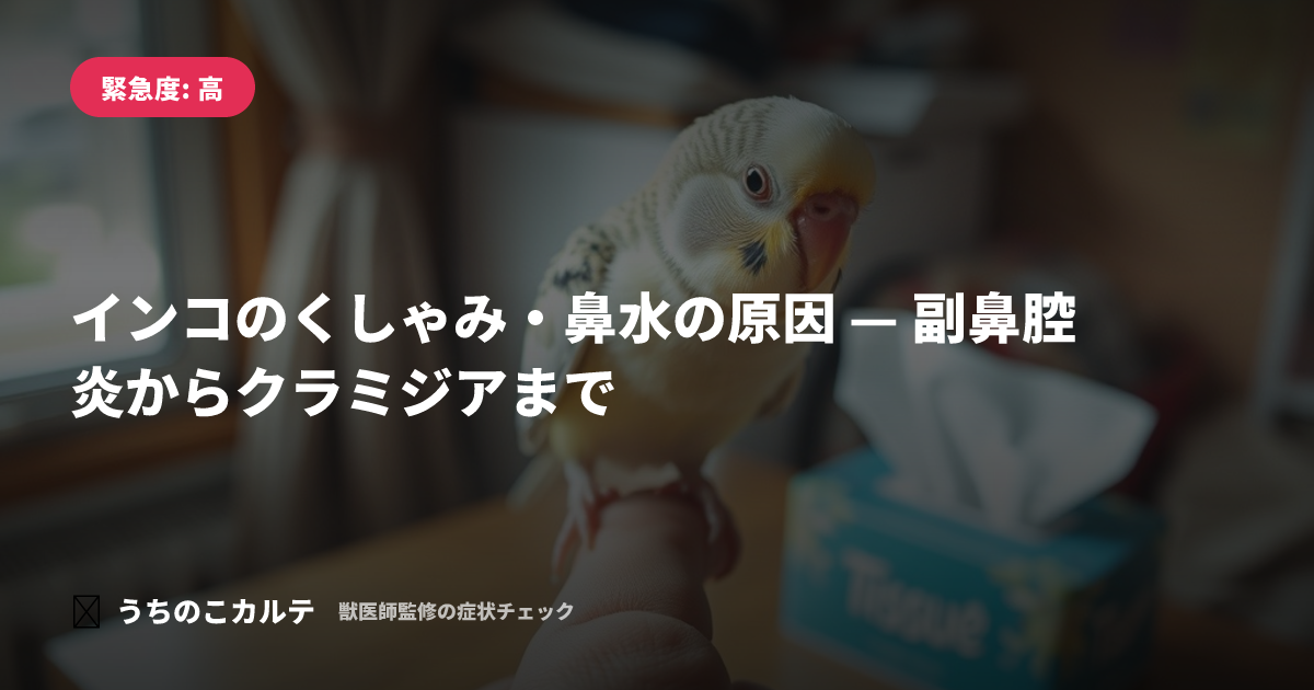 インコのくしゃみ・鼻水の原因 — 副鼻腔炎からクラミジアまで