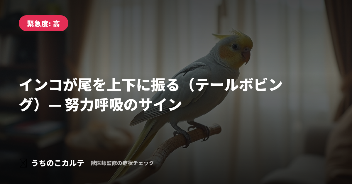 インコが尾を上下に振る（テールボビング）— 努力呼吸のサイン