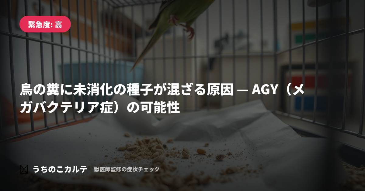 鳥の糞に未消化の種子が混ざる原因 — AGY（メガバクテリア症）の可能性