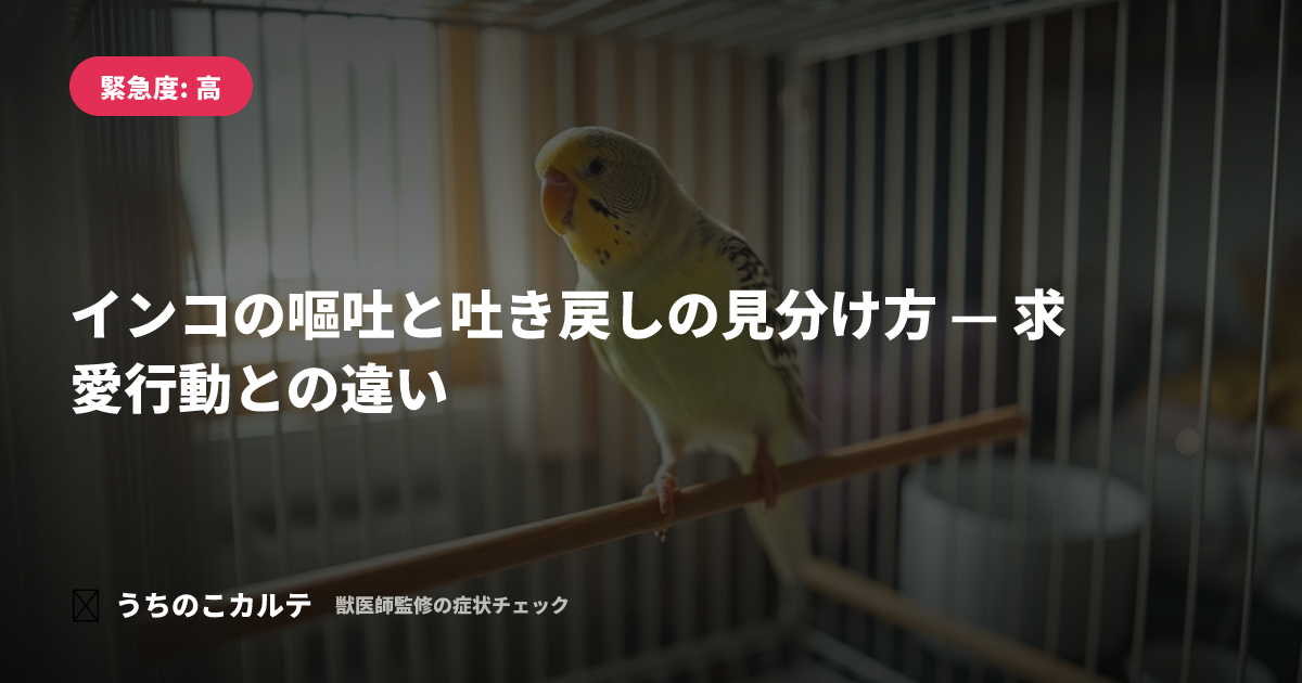 インコの嘔吐と吐き戻しの見分け方 — 求愛行動との違い