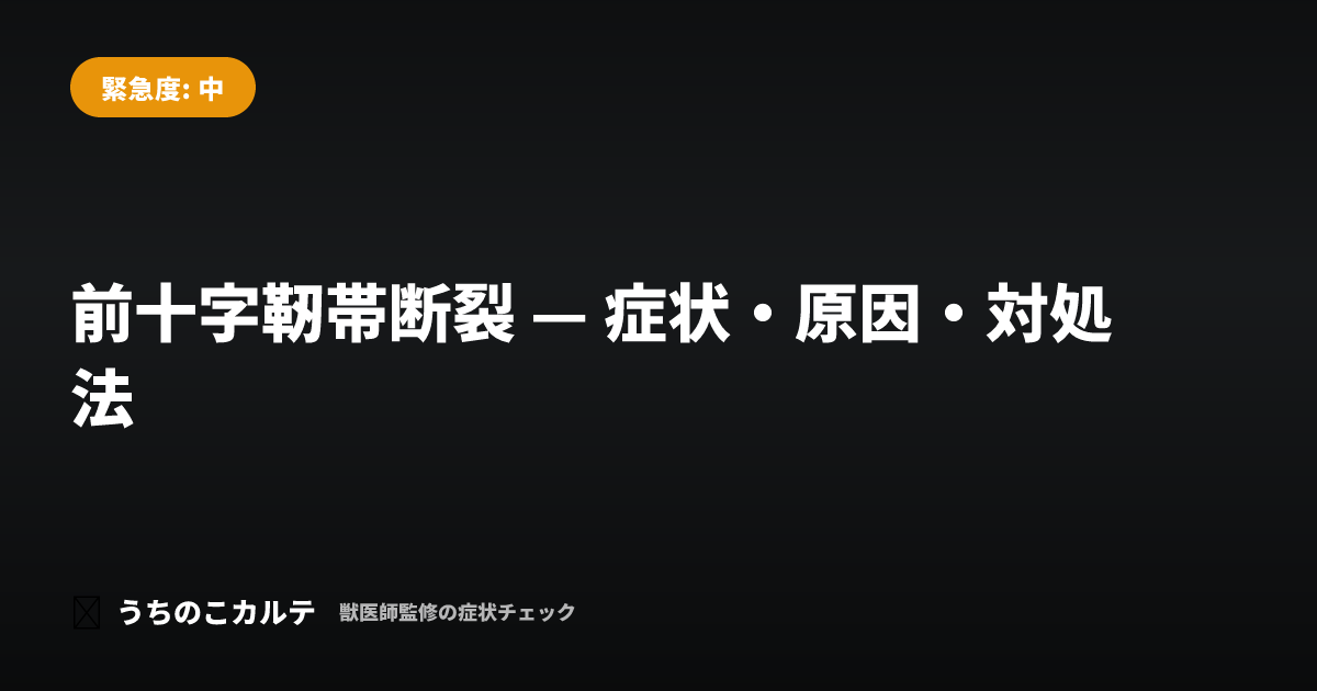 前十字靭帯断裂 — 症状・原因・対処法
