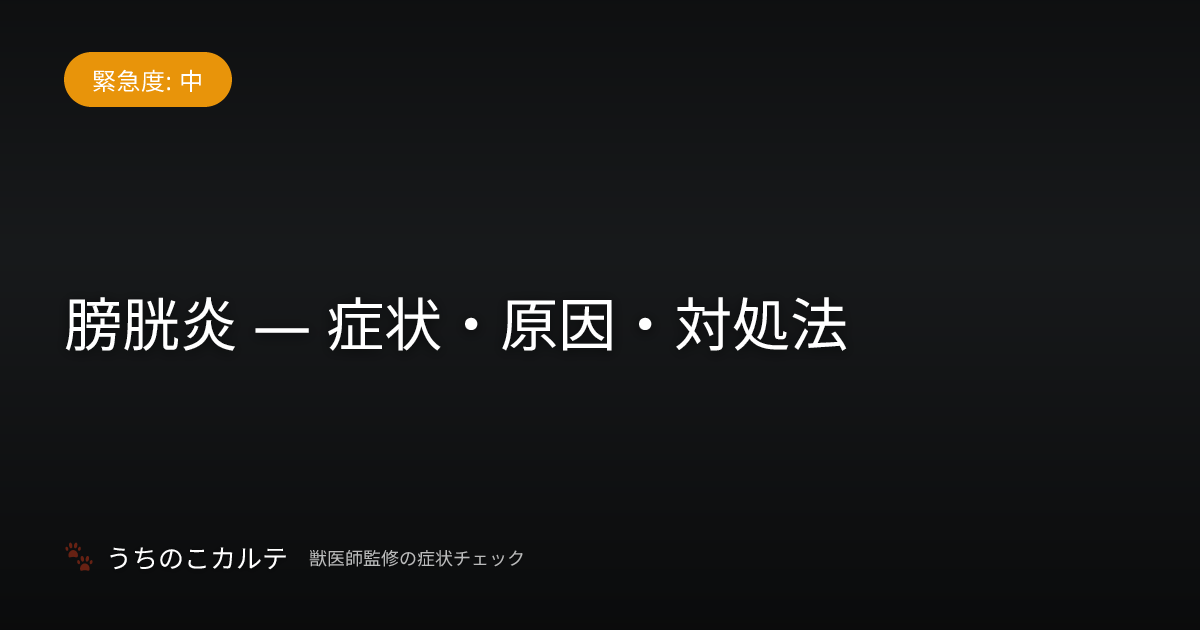 膀胱炎 — 症状・原因・対処法