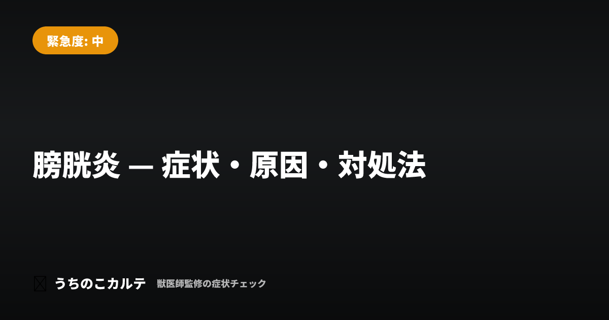 膀胱炎 — 症状・原因・対処法
