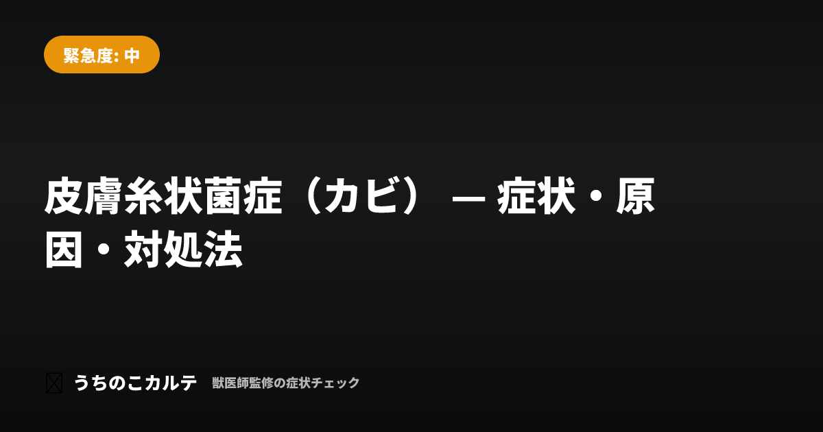 皮膚糸状菌症（カビ） — 症状・原因・対処法
