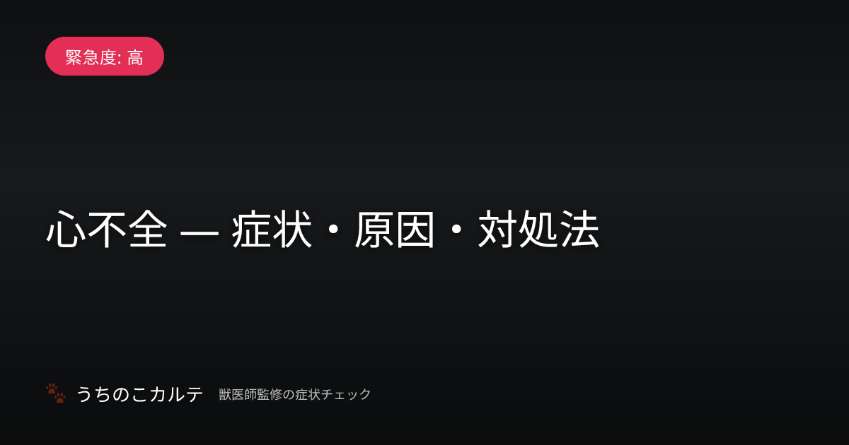 心不全 — 症状・原因・対処法