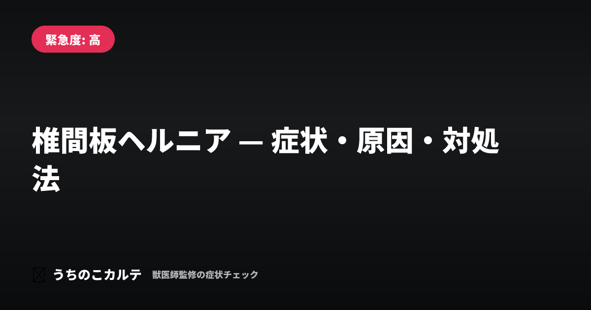 椎間板ヘルニア — 症状・原因・対処法