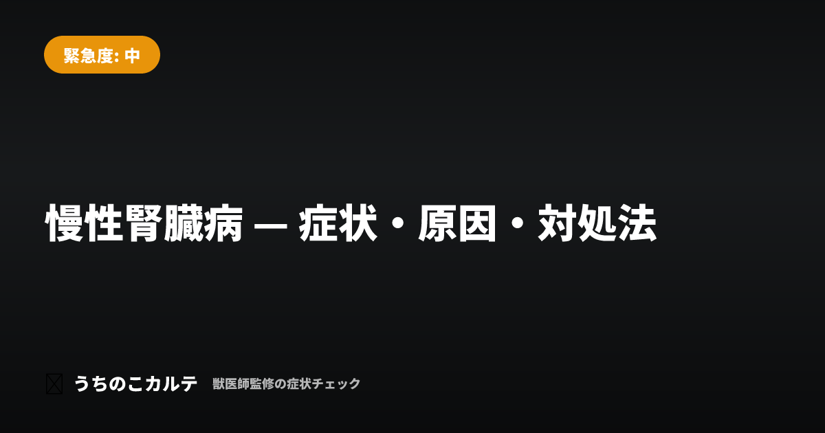 慢性腎臓病 — 症状・原因・対処法