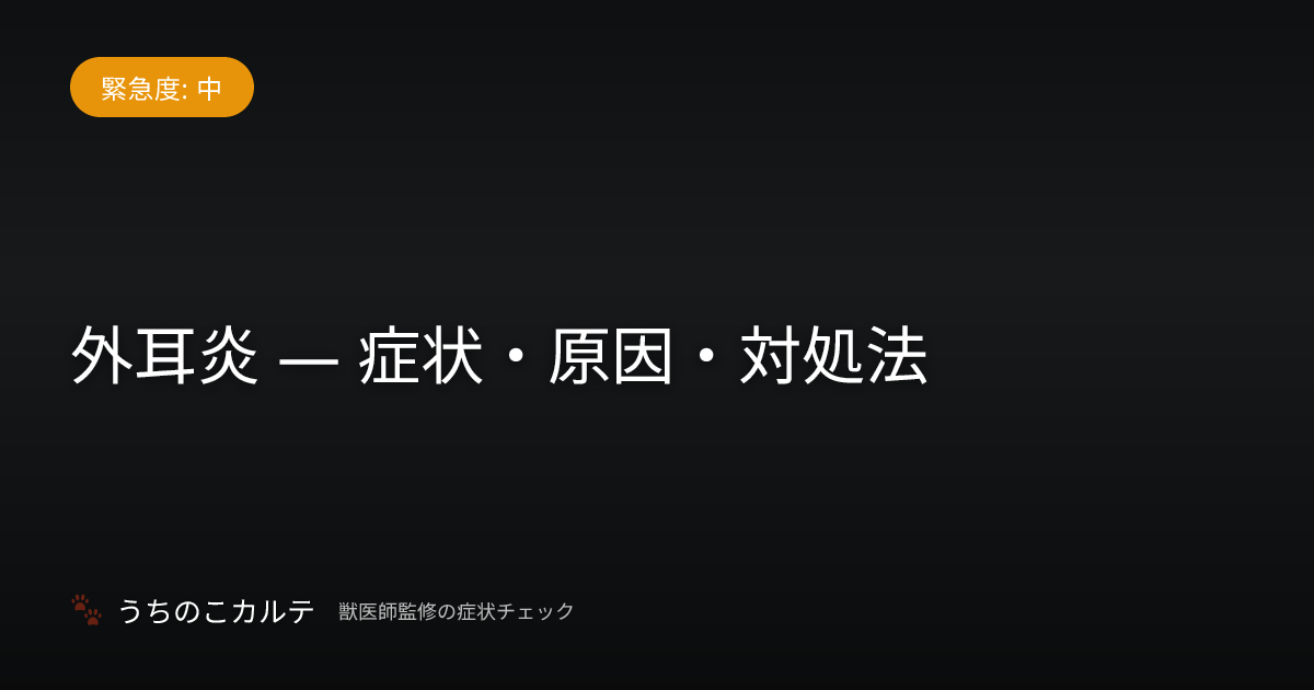外耳炎 — 症状・原因・対処法