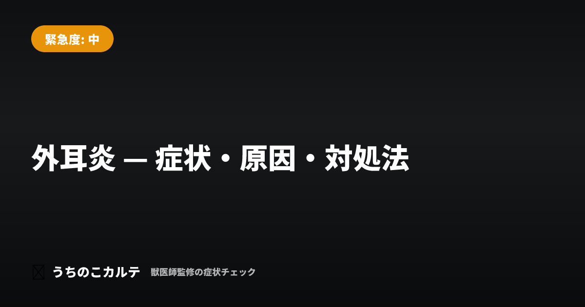 外耳炎 — 症状・原因・対処法