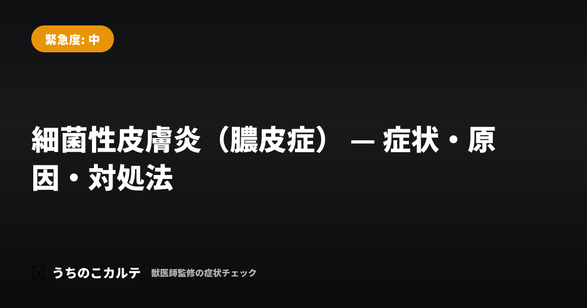 細菌性皮膚炎（膿皮症） — 症状・原因・対処法