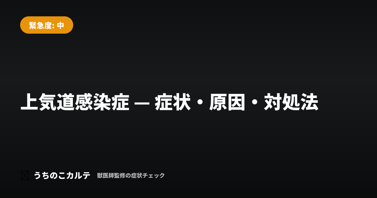 上気道感染症 — 症状・原因・対処法